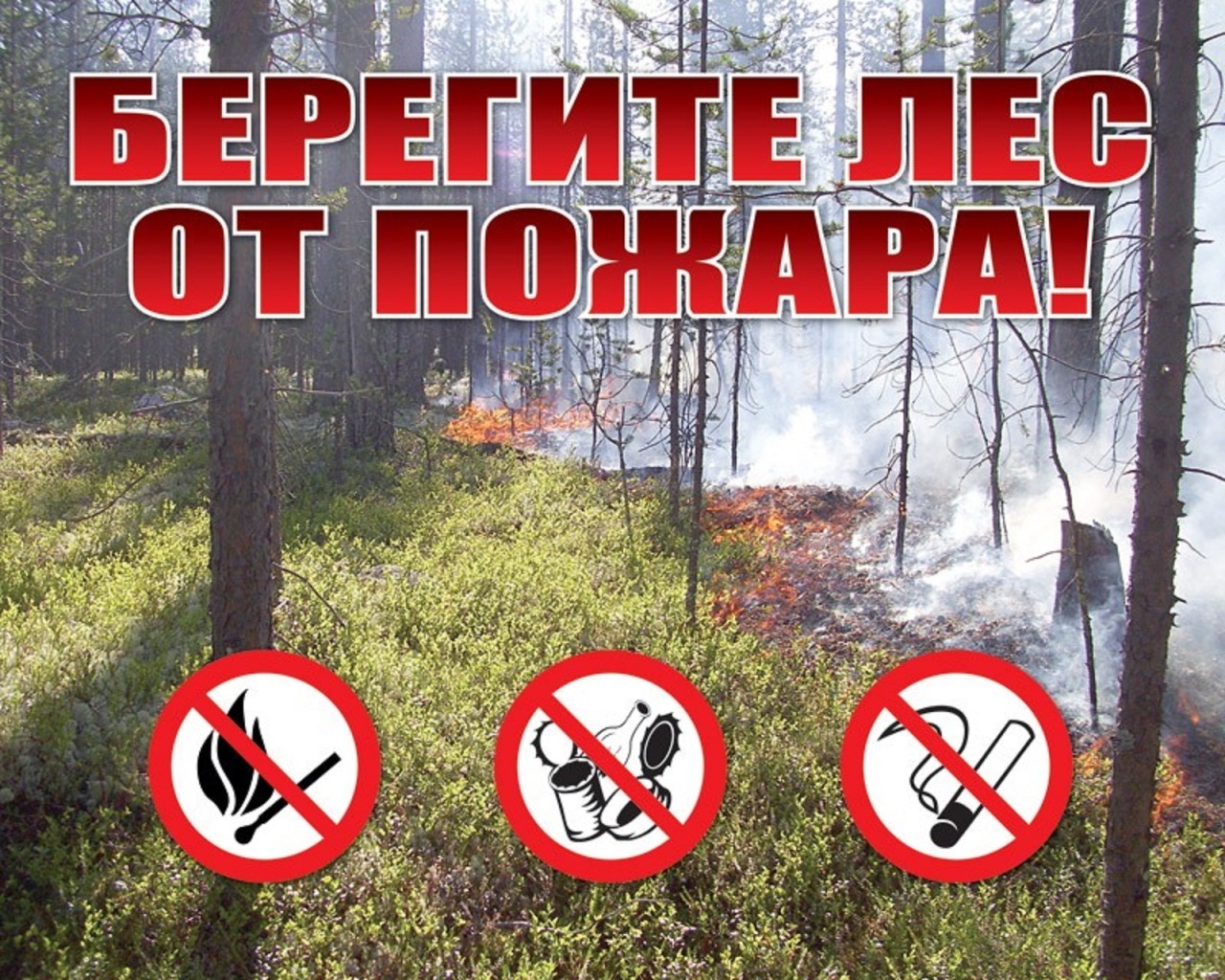 Что опасно человеку в лесу. Берегите лес отпоажара. Берегите Лас от пожара. Профилактика пожарной безопасности в лесу. Противопожарные плакаты в лесу.