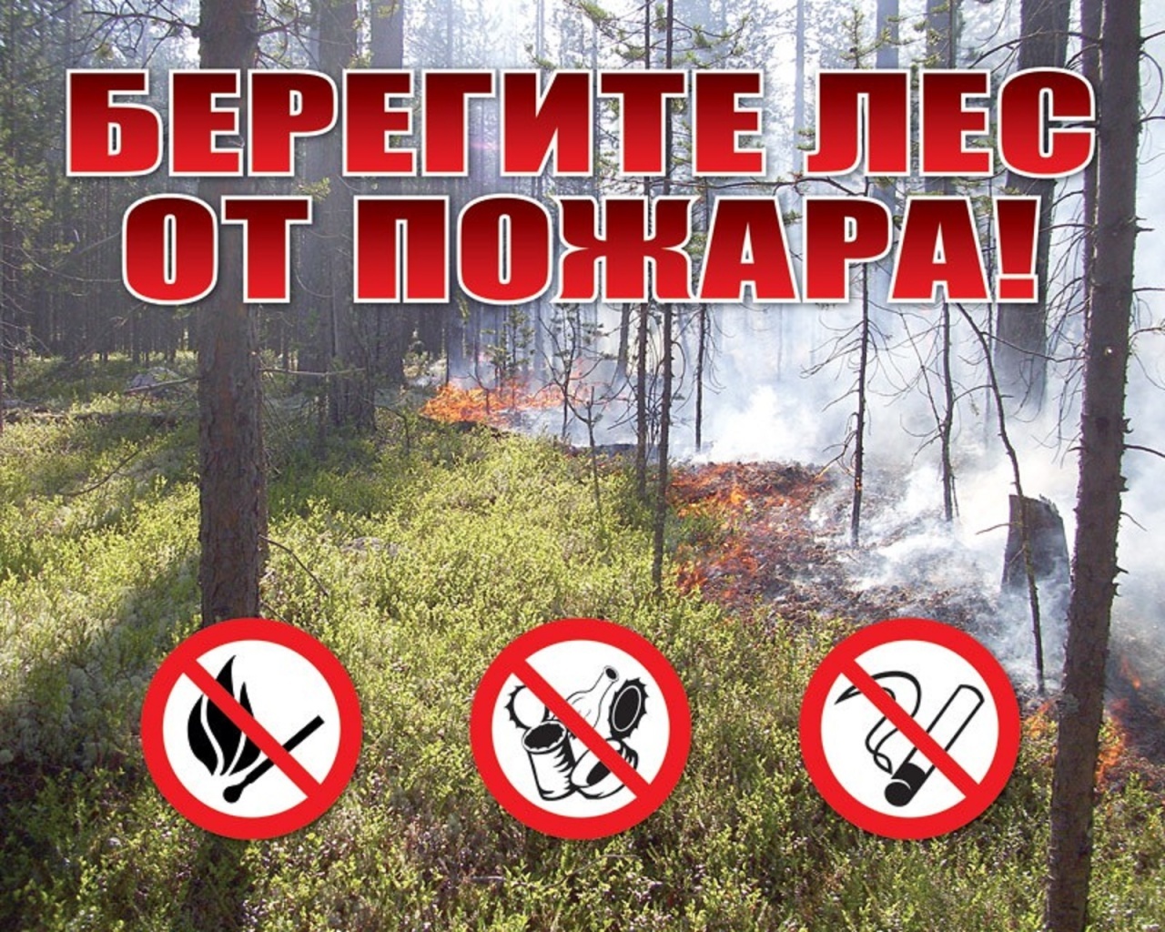 Берегите лес от пожара картинки