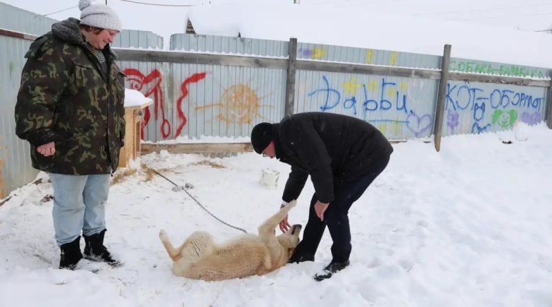 Хорошие новости для четвероногих: «Дарби» снова в деле!