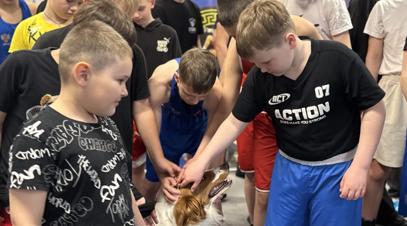 В Каменске-Уральском полицейские рассказали юным спортсменам о безопасности В Каменске-Уральском полицейские рассказали юным спортсменам о безопасности