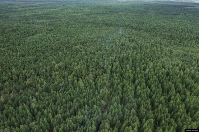 Пожароопасный сезон начал действовать в Свердловской области