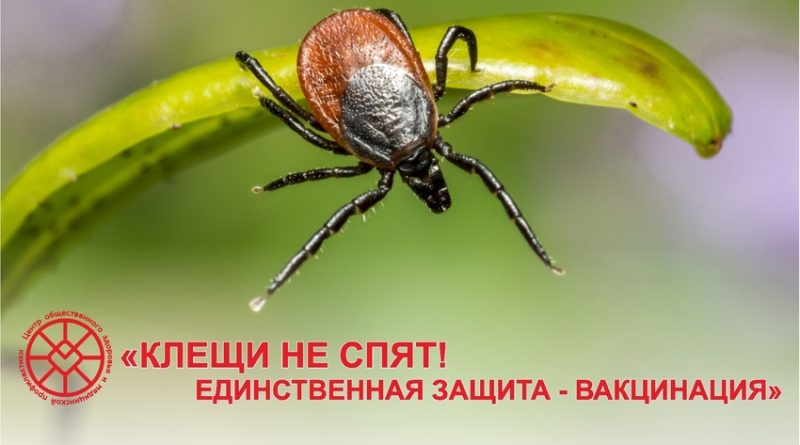 Осторожно, клещи!