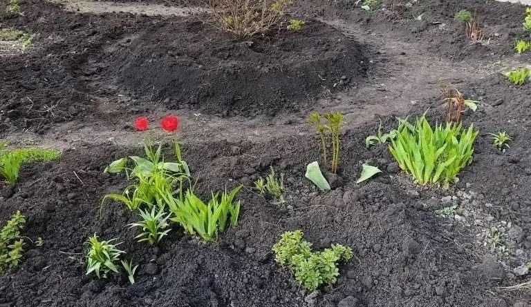 Сила в единстве: как благотворители помогают украсить наш город!