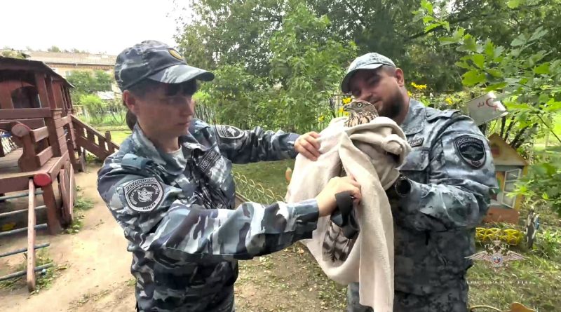 Ирина Волк: В Свердловской области сотрудники полиции спасли молодого ястреба